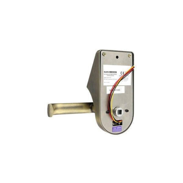 Rankena su įeigos valdikliu Eura ELH-60B9 BRASS