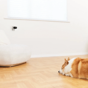 Vaizdo stebėjimo kamera Imou Versa 1080P 2MP