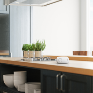 Anglies monoksido detektorius FireAngel FA3313-INT