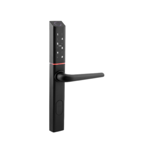 Išmanioji durų rankena Eura ELH-25H4 Black